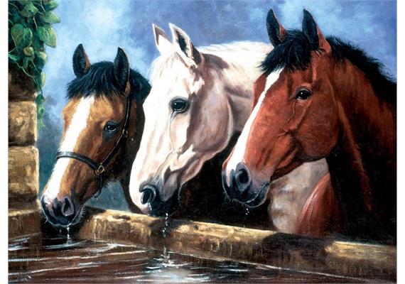 Malen nach Zahlen Junior - Pferde - 40 x 32.5 cm