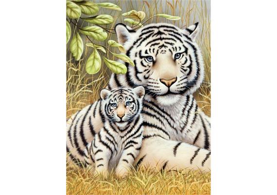 Malen nach Zahlen Junior - Tiger - 33 x 24 cm