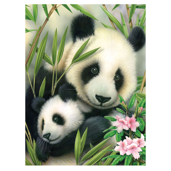 Malen Nach Zahlen Kinder Ab 5 Jahre - Süßer Panda Mit Blumen 40x50cm Set