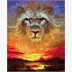 Malen nach Zahlen Set Lion - Sunset 50 x 40 cm