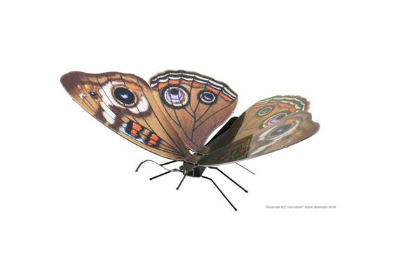 Metal Earth - Butterfly Buckeye MMS124