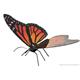 Metal Earth - Butterfly Monarch MMS123