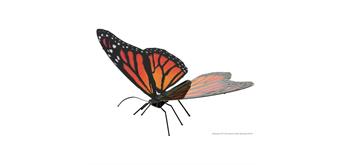 Metal Earth - Butterfly Monarch MMS123