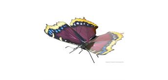 Metal Earth - Butterfly Mourning Cloak MMS126