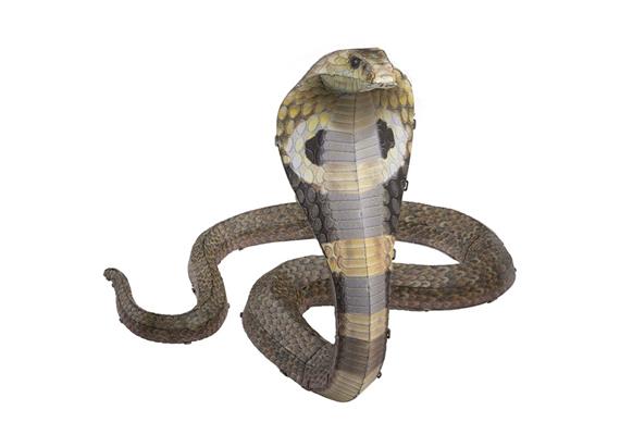 Metal Earth - Cobra (farbiges Modell)