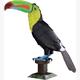 Metal Earth - Keel-billed Toucan (Regenbogentukan)