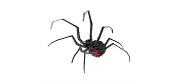 Metal Earth ME1038 Black Widow Spider – Metall Bausatz