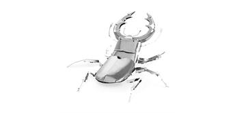 Metal Earth - Stag Beetle MMS071