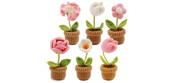 Noname 2604-073 DIY Häkelset - 6 Blumen