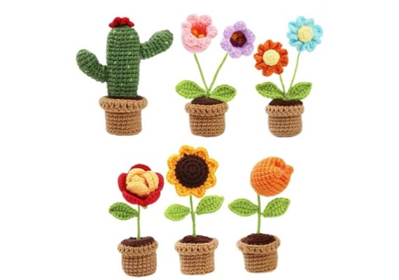 Noname 2604-104 DIY Häkelset - 6 Blumen