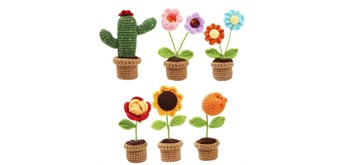 Noname 2604-104 DIY Häkelset - 6 Blumen