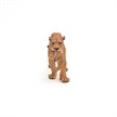 Papo 50043 Spielfigur Löwin mit Jungtier | Bild 3