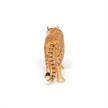 Papo 50178 Spielfigur Grosse Tigerin | Bild 5