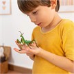 Papo 50244 Spielfigur Gottesanbeterin | Bild 2