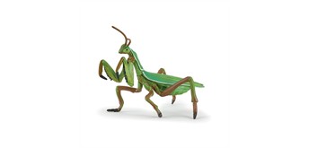 Papo 50244 Spielfigur Gottesanbeterin