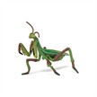 Papo 50244 Spielfigur Gottesanbeterin | Bild 5