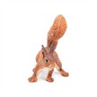 Papo 50255 Spielfigur Eichhörnchen | Bild 4