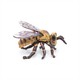 Papo 50256 Spielfigur Biene