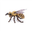 Papo 50256 Spielfigur Biene | Bild 5
