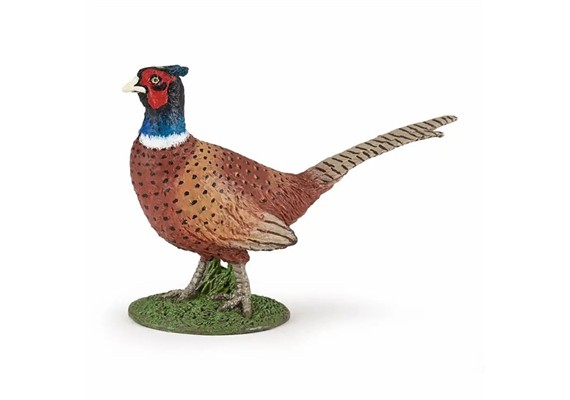 Papo 50263 Spielfigur Fasan 7 cm
