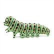 Papo 50266 Spielfigur Raupe | Bild 2