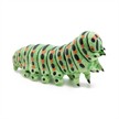 Papo 50266 Spielfigur Raupe | Bild 5