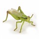 Papo 50268 Spielfigur Heuschrecke 6.5 cm