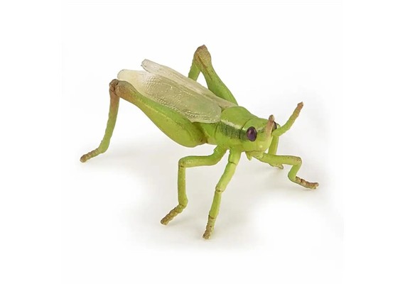 Papo 50268 Spielfigur Heuschrecke 6.5 cm
