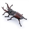 Papo 50281 Spielfigur Hirschkäfer