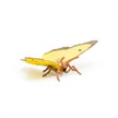 Papo 50288 Spielfigur Postillon | Bild 3