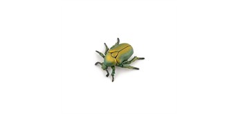 Papo 50290 Spielfigur Goldener Käfer