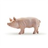 Papo 51044 Spielfigur Eber
