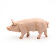 Papo 51044 Spielfigur Eber | Bild 6