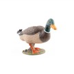 Papo 51155 Spielfigur Stockente | Bild 5