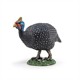 Papo 51191 Spielfigur Perlhuhn
