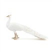 Papo 51192 Spielfigur Weisser Pfau | Bild 4