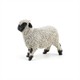 Papo 51194 Spielfigur Walliser Schwarznasenschaf