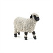 Papo 51194 Spielfigur Walliser Schwarznasenschaf | Bild 3
