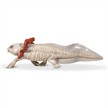 Papo 56066 Spielfigur Axolotl | Bild 4