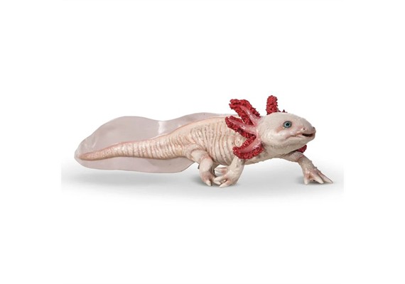 Papo 56066 Spielfigur Axolotl