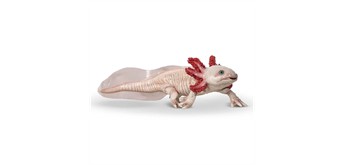 Papo 56066 Spielfigur Axolotl