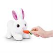 Pets Alive Mama Bunny Suprise assortiert | Bild 5