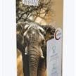 Picmondoo - Diamond Painting - African Elephant 30 x 45 cm | Bild 6
