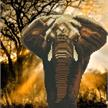 Picmondoo - Diamond Painting - African Elephant 30 x 45 cm | Bild 4
