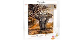 Picmondoo - Diamond Painting - African Elephant 30 x 45 cm