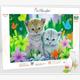 Picmondoo - Diamond Painting - Sweet Cats