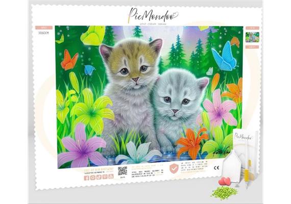 Picmondoo - Diamond Painting - Sweet Cats