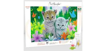 Picmondoo - Diamond Painting - Sweet Cats