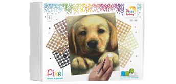 Pixel Classic 4 Basisplatten-Kit - Golden Retriever