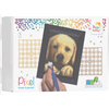 Pixel Geschenkbox mit 24 Pixel Vierecke - Golden Retriever